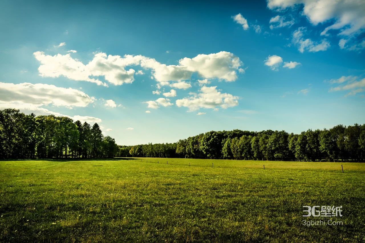 草原森林·清新自然风 澄澈蓝天绿野宽屏电脑壁纸1