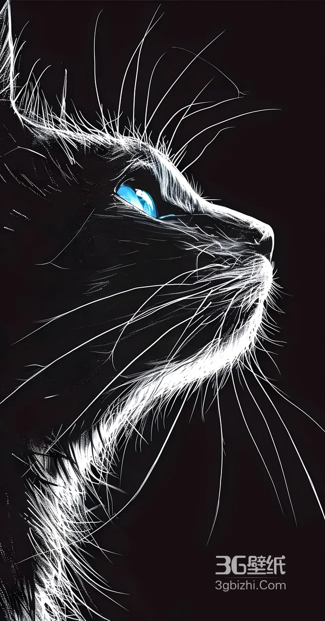 蓝眼黑猫·暗黑手绘白描风 高质感宠物壁纸1
