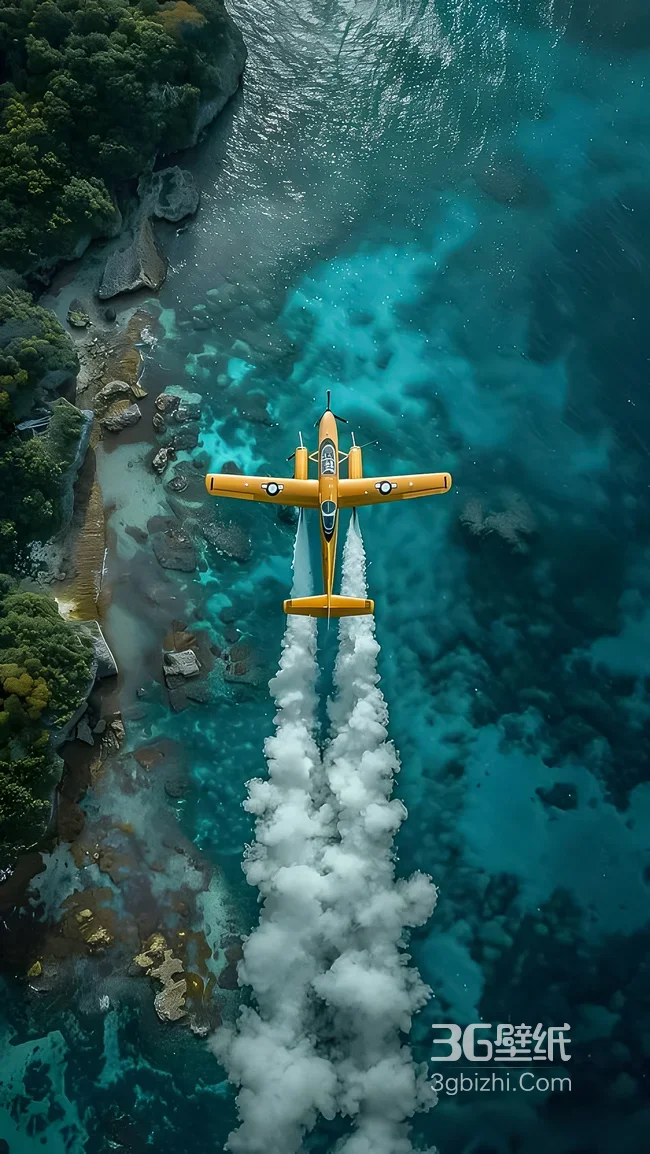 黄色飞机·海岸海洋写实唯美飞行超高清壁纸