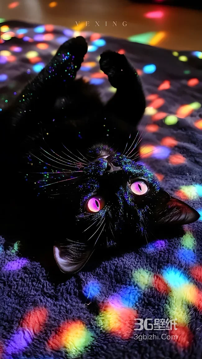 黑猫·粉瞳霓虹光斑 梦幻炫彩风 超火手机壁纸1