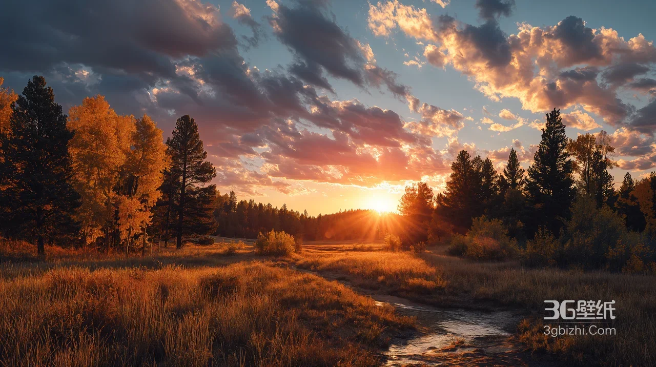 秋日日落森林草甸溪流·唯美写实·高画质自然风景壁纸1