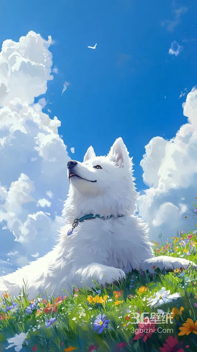 唯美插画风白色萨摩耶·花海蓝天治愈系手机壁纸推荐1