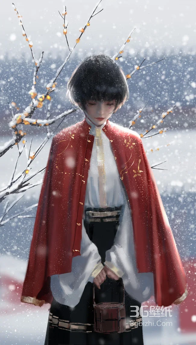 国风短发少女·红斗篷冬雪 唯美古风插画 高适配手机壁纸1