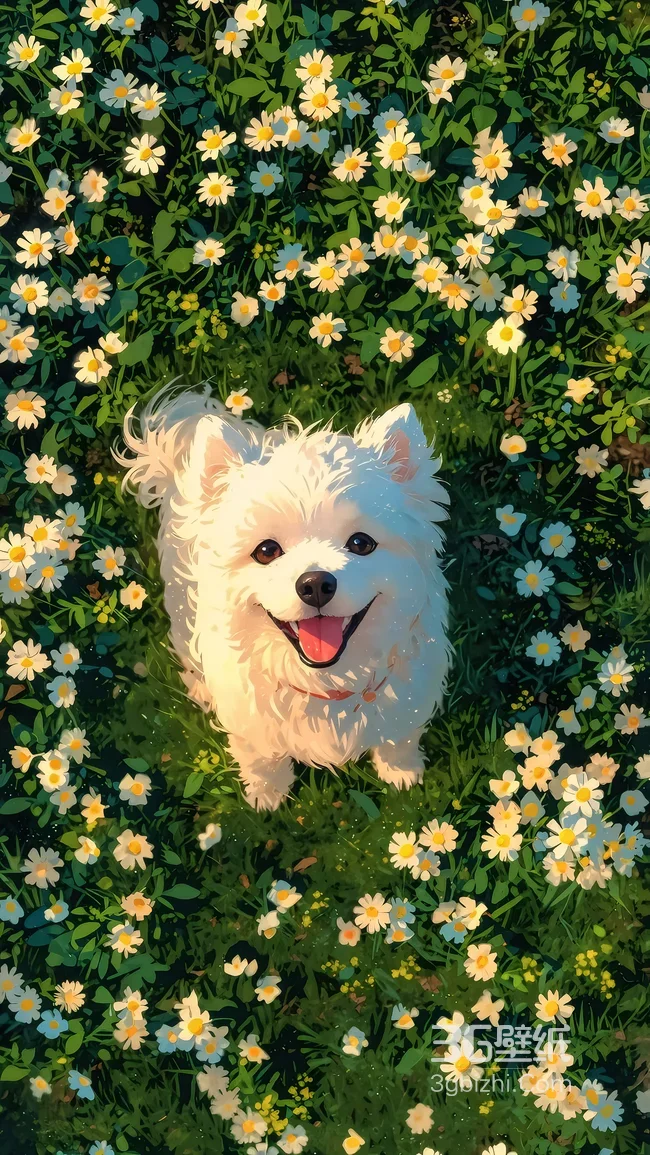 微笑白犬·花海环绕 唯美插画治愈系宠物手机壁纸1