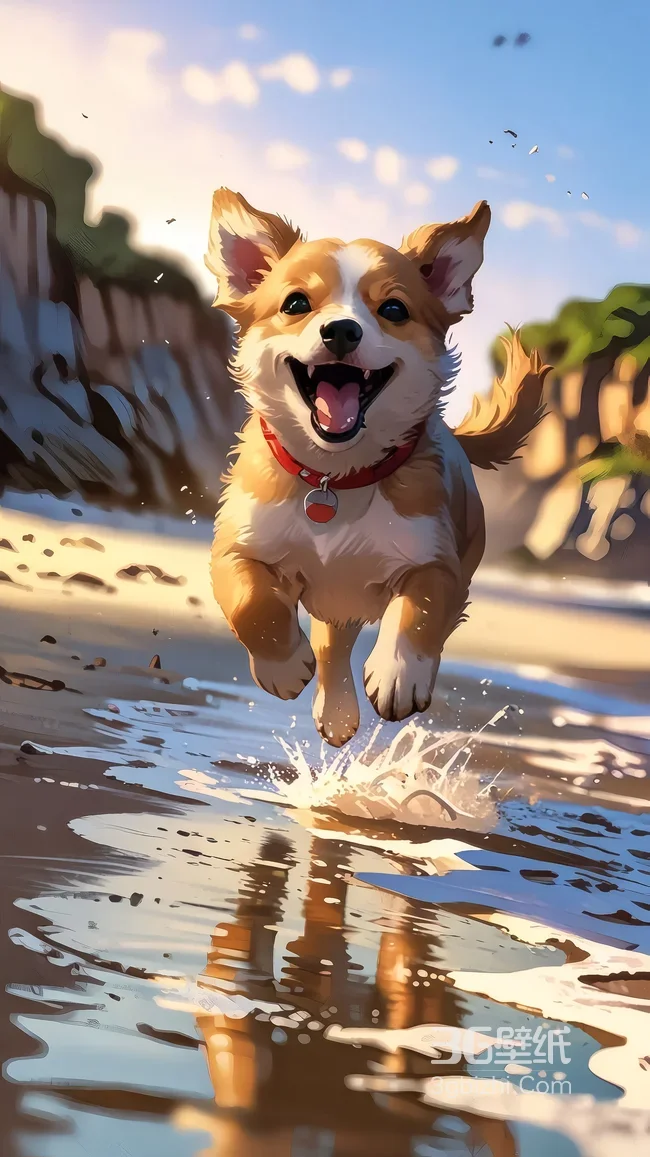 萌柯基·海滩欢快跃动 动漫风治愈系宠物手机壁纸1
