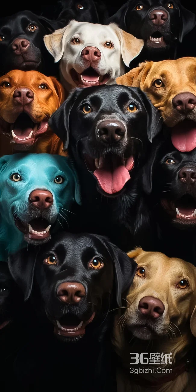 多彩狗狗群像·写实拟真风 热门宠物手机壁纸1