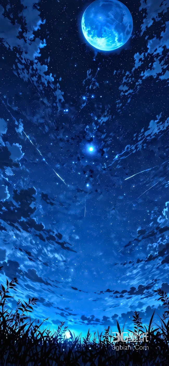 星空月夜流星草甸·唯美二次元动漫插画 治愈蓝调壁纸1