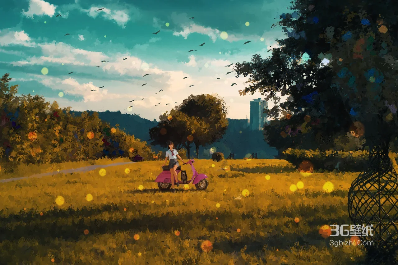 女孩携猫乘粉摩托 唯美治愈风草地光斑宽屏电脑壁纸1
