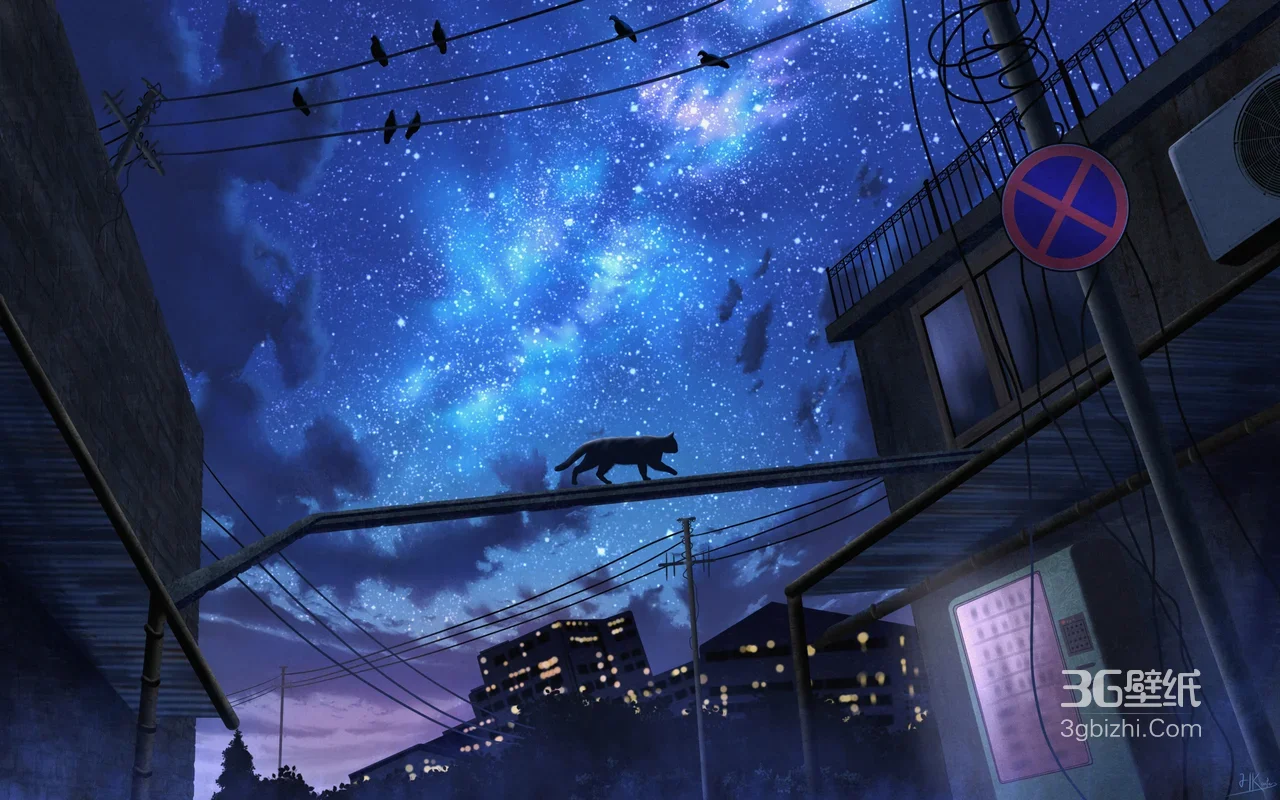 夜晚小巷黑猫漫步·唯美星空插画电脑壁纸（高人气电脑壁纸）1