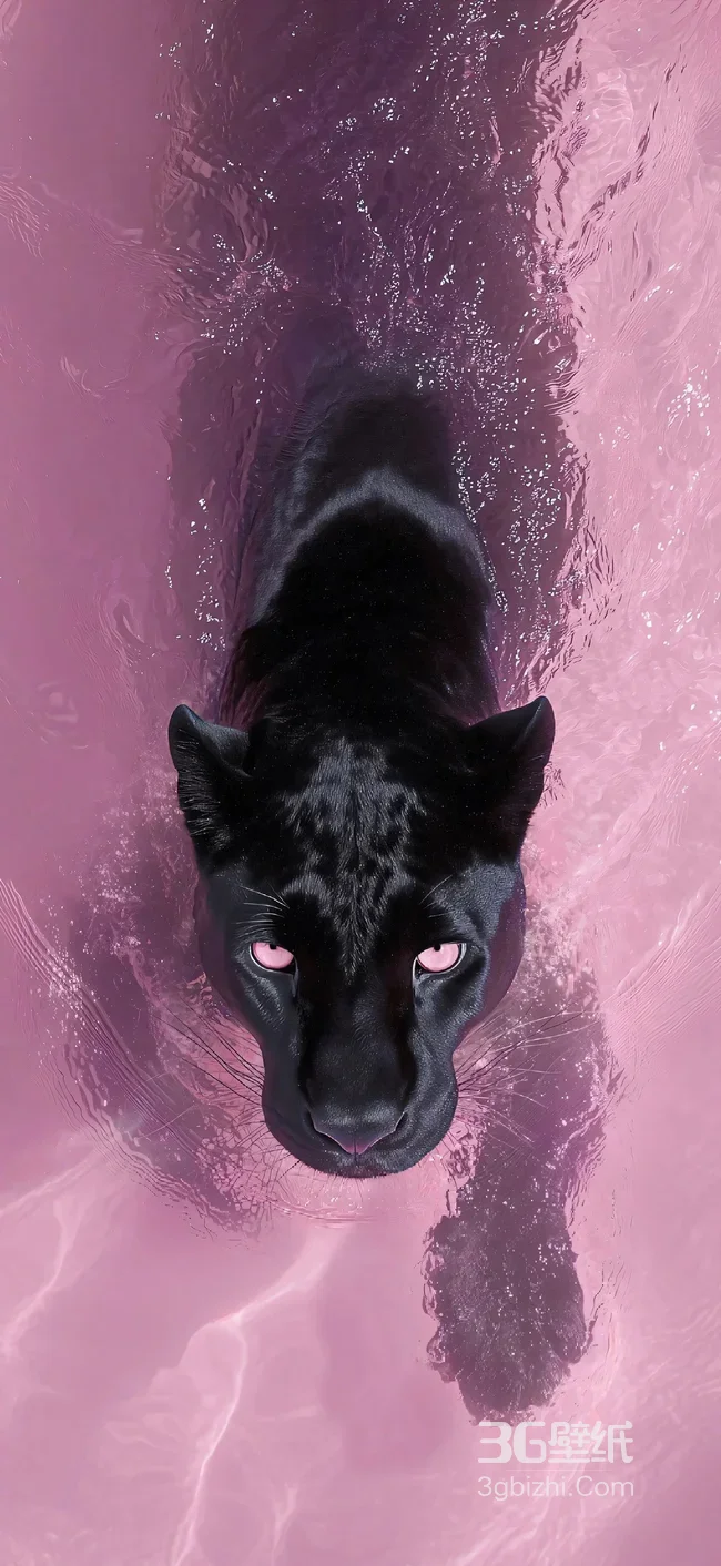 黑豹·粉瞳暗黑唯美风 高质感手机壁纸1