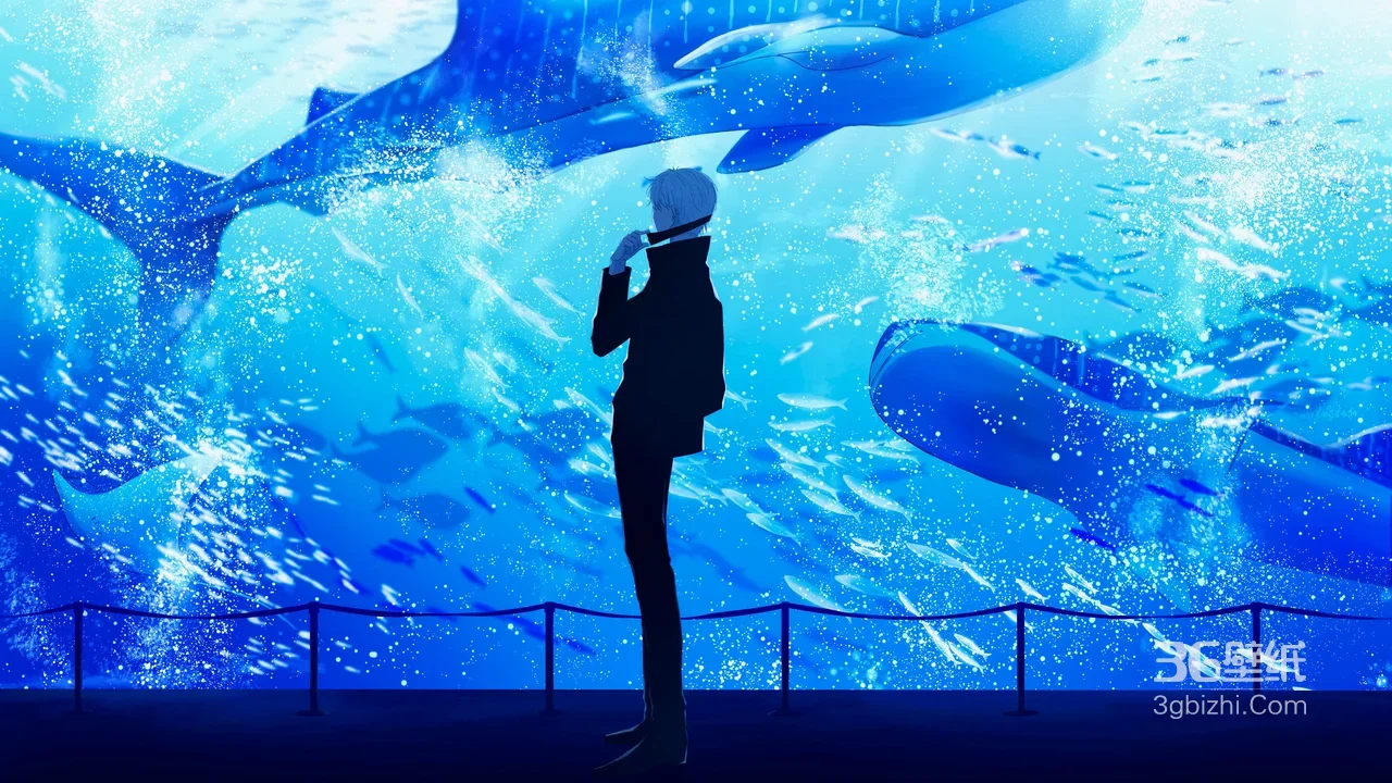 银发男子·鲸鲨水族馆 二次元宽屏电脑壁纸精选1