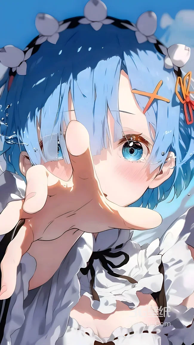 雷姆·水迹女仆装 唯美《Re0》动漫形象1