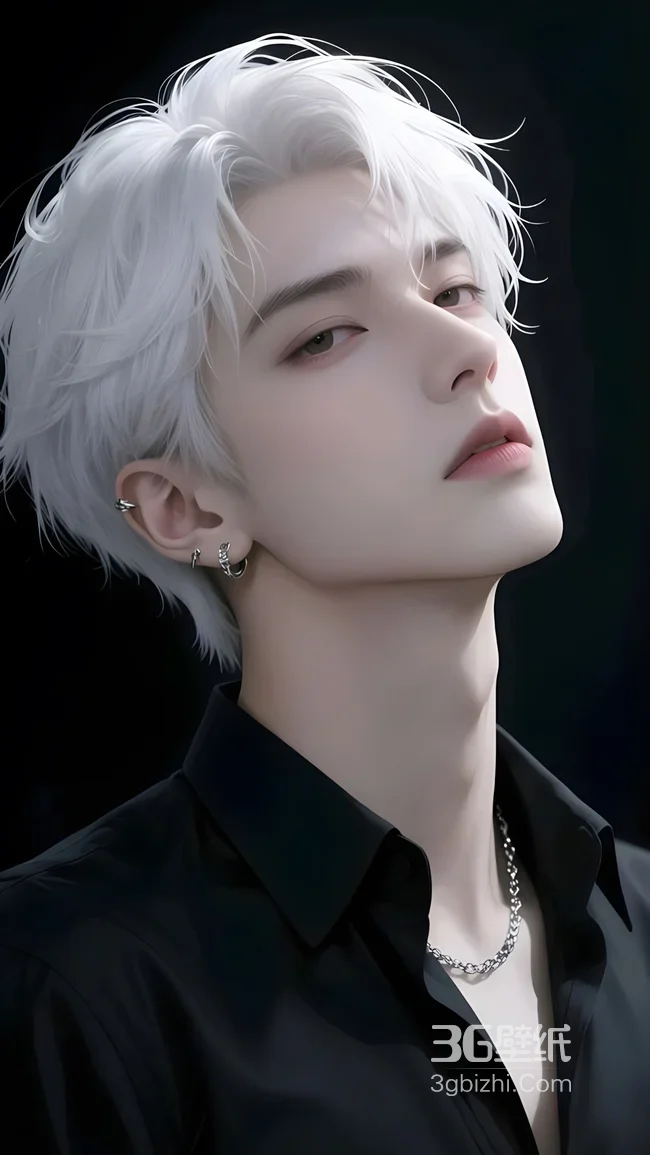 银发冷感帅哥·暗黑写实风 原创手绘型男壁纸1