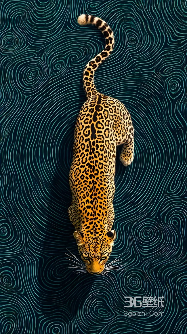 花豹·抽象漩涡纹理背景 艺术风手机壁纸推荐1