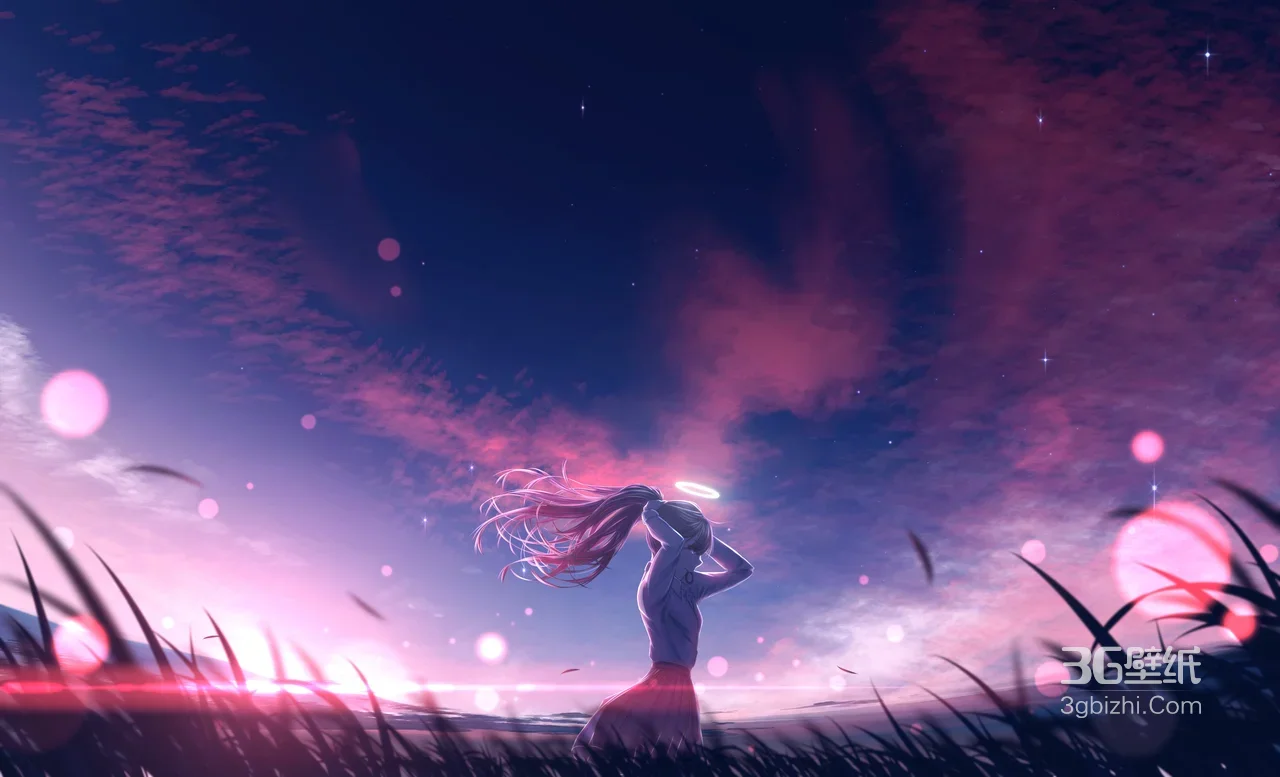 光环少女·长发飘动 唯美二次元黄昏草地电脑壁纸1