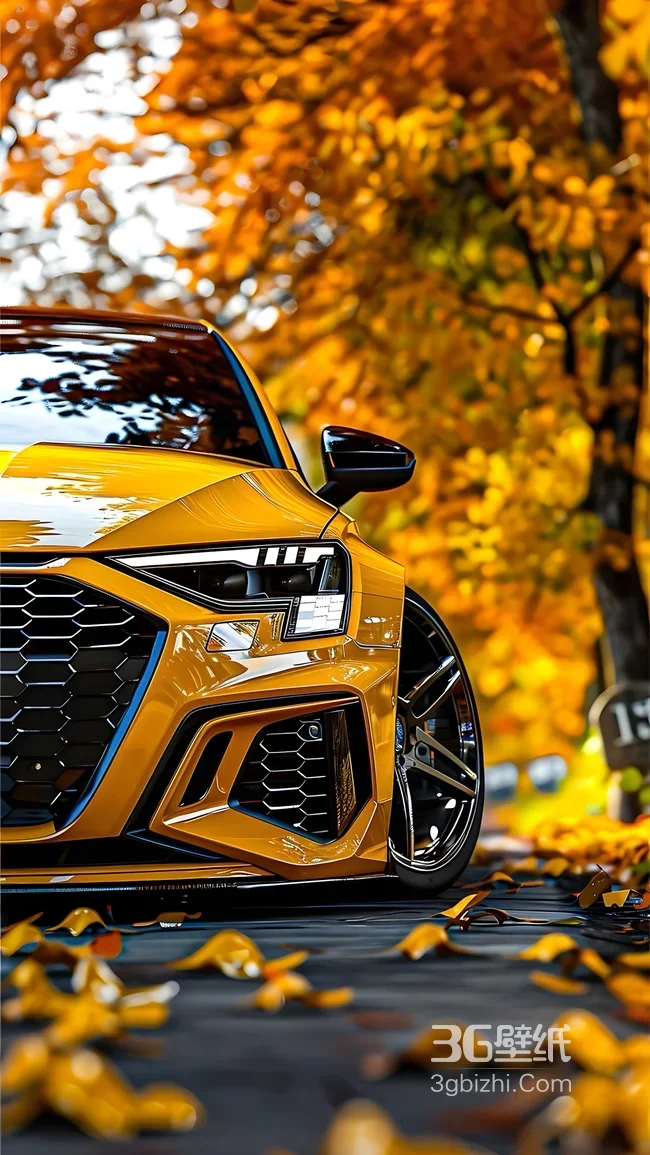奥迪黄色跑车·唯美秋景写实风 秋季落叶汽车壁纸1