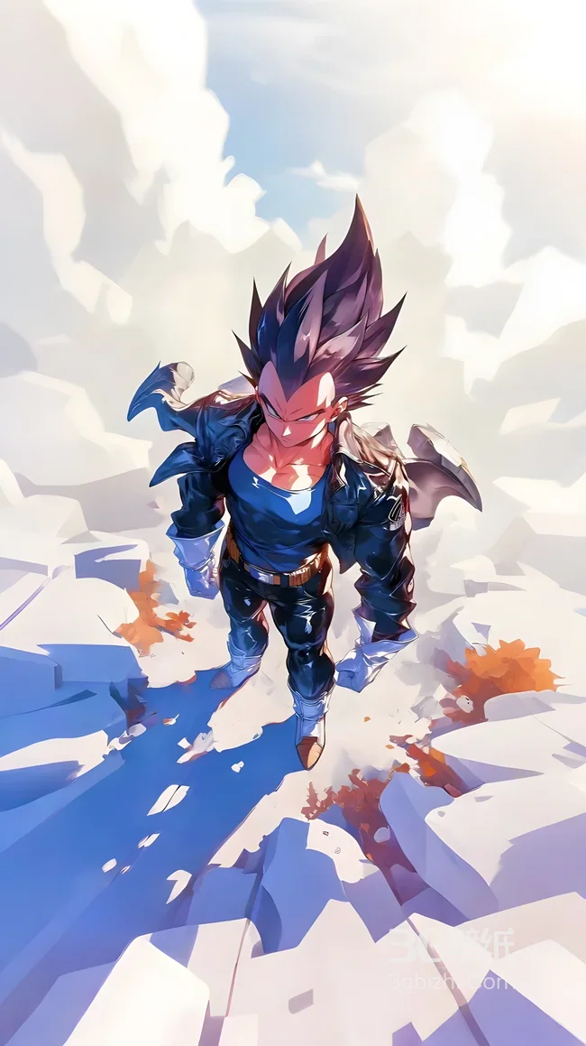 贝吉塔·黑皮夹克 二次元风 龙珠热血壁纸1