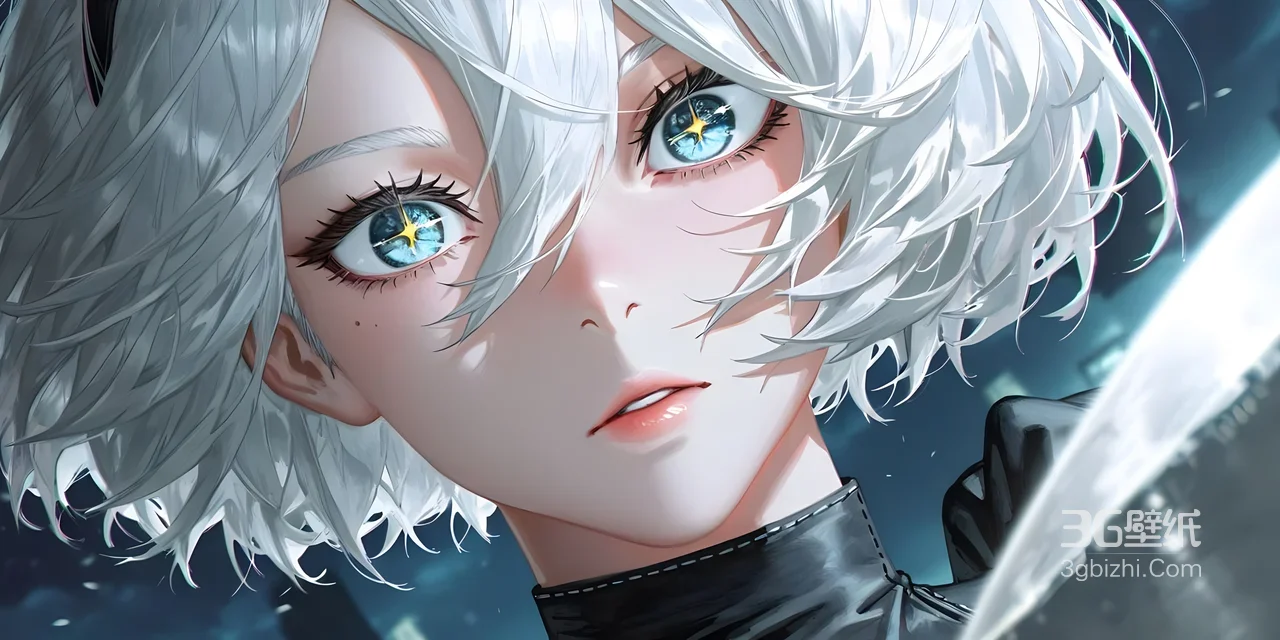 2B·银发利刃 二次元写实（尼尔机械纪元）游戏壁纸1