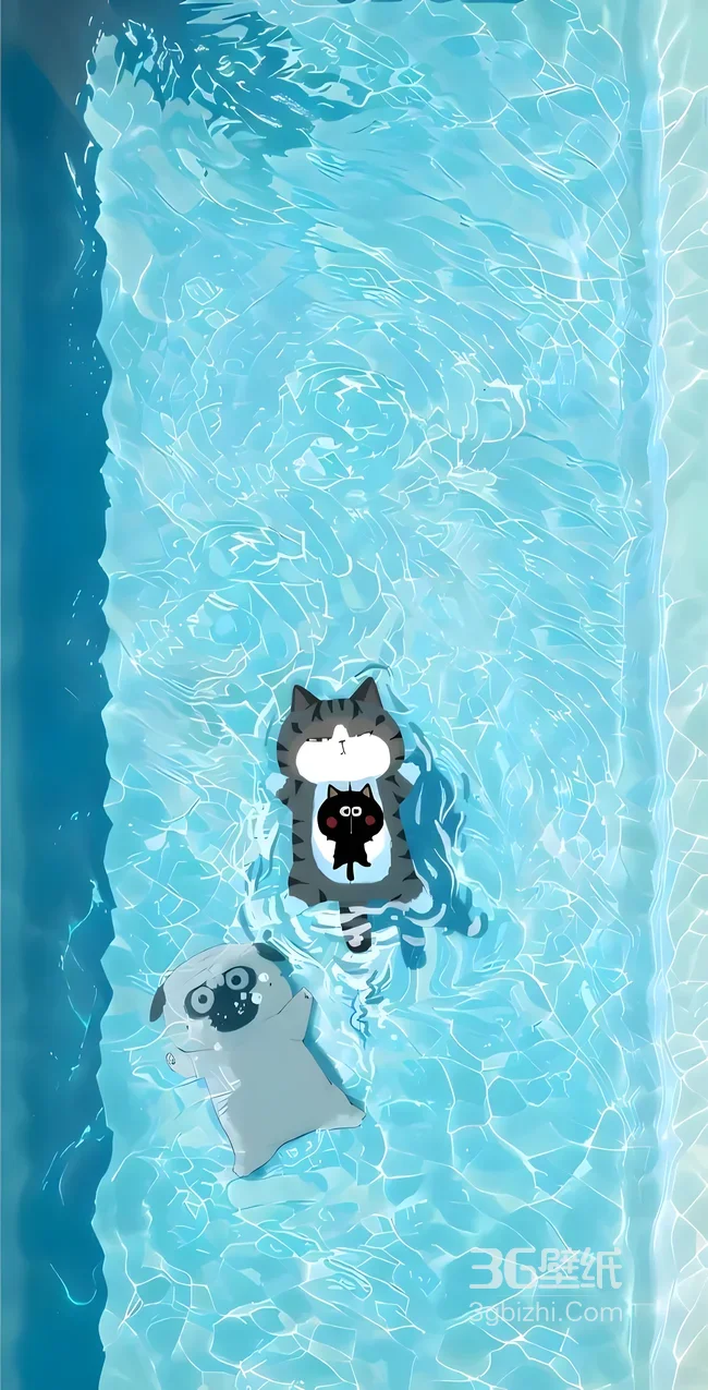 吾皇巴扎黑泳池戏水 治愈风吾皇万睡萌宠壁纸1