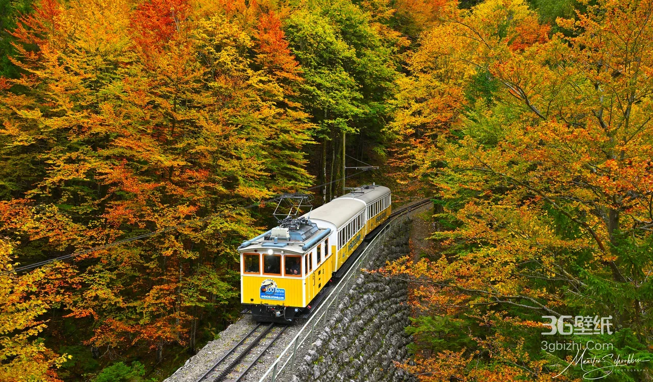 黄色复古火车穿行秋林铁轨·唯美秋景桌面背景1
