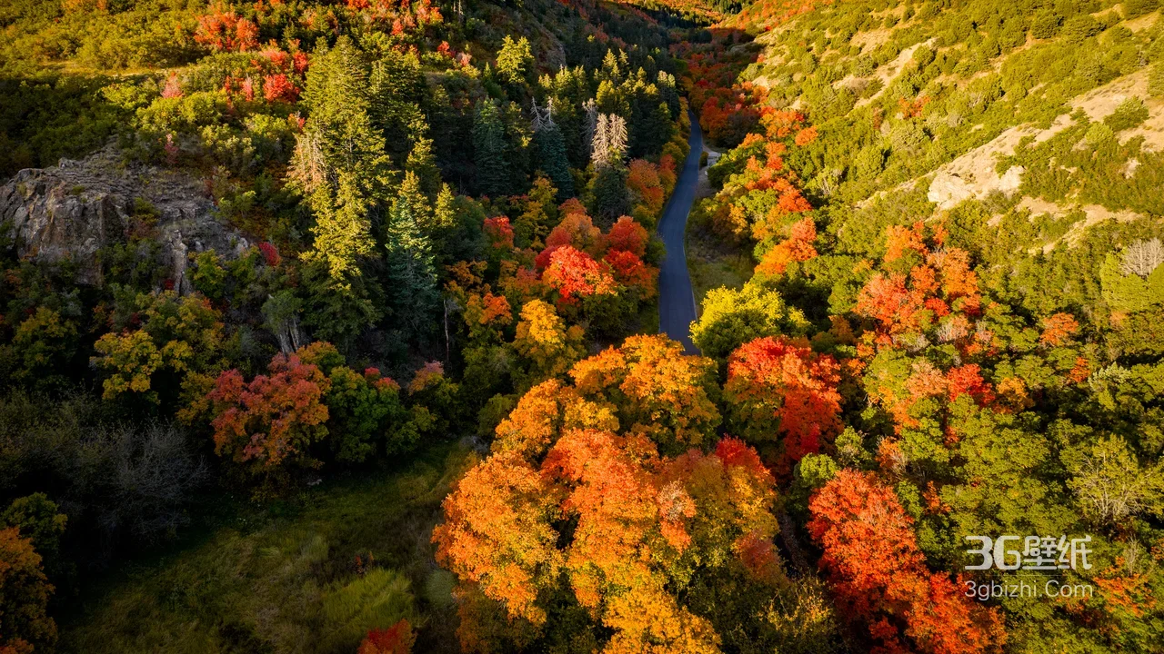 秋季山林公路·唯美自然 高清风景电脑壁纸1