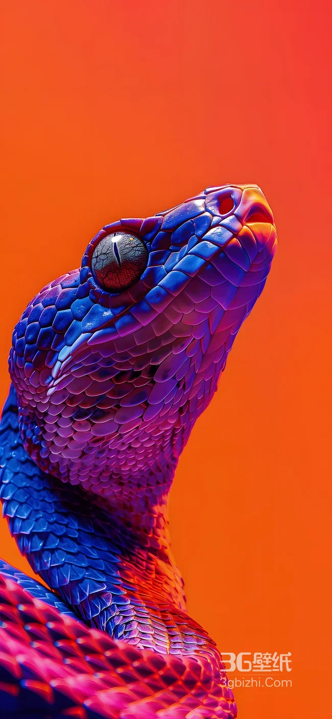 蓝紫渐变蛇·超现实艺术风高人气蛇类手机壁纸1