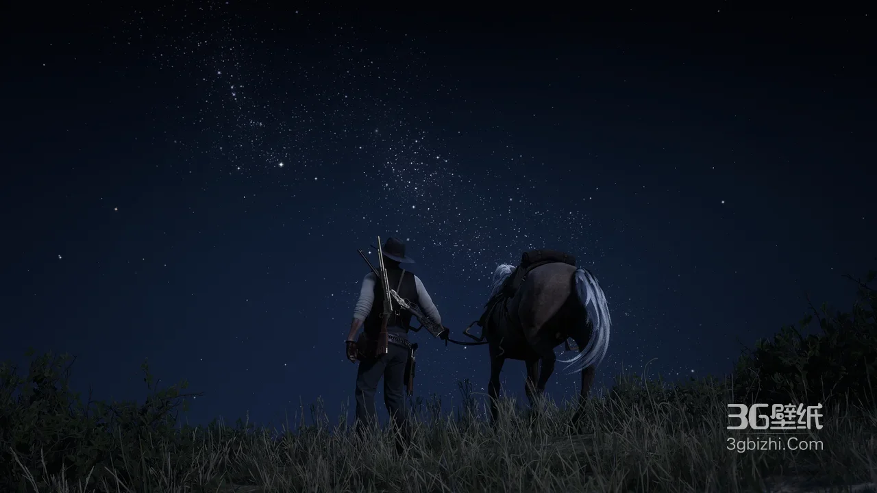 荒野大镖客2·牛仔牵马 写实暗黑风 星空夜景电脑壁纸1