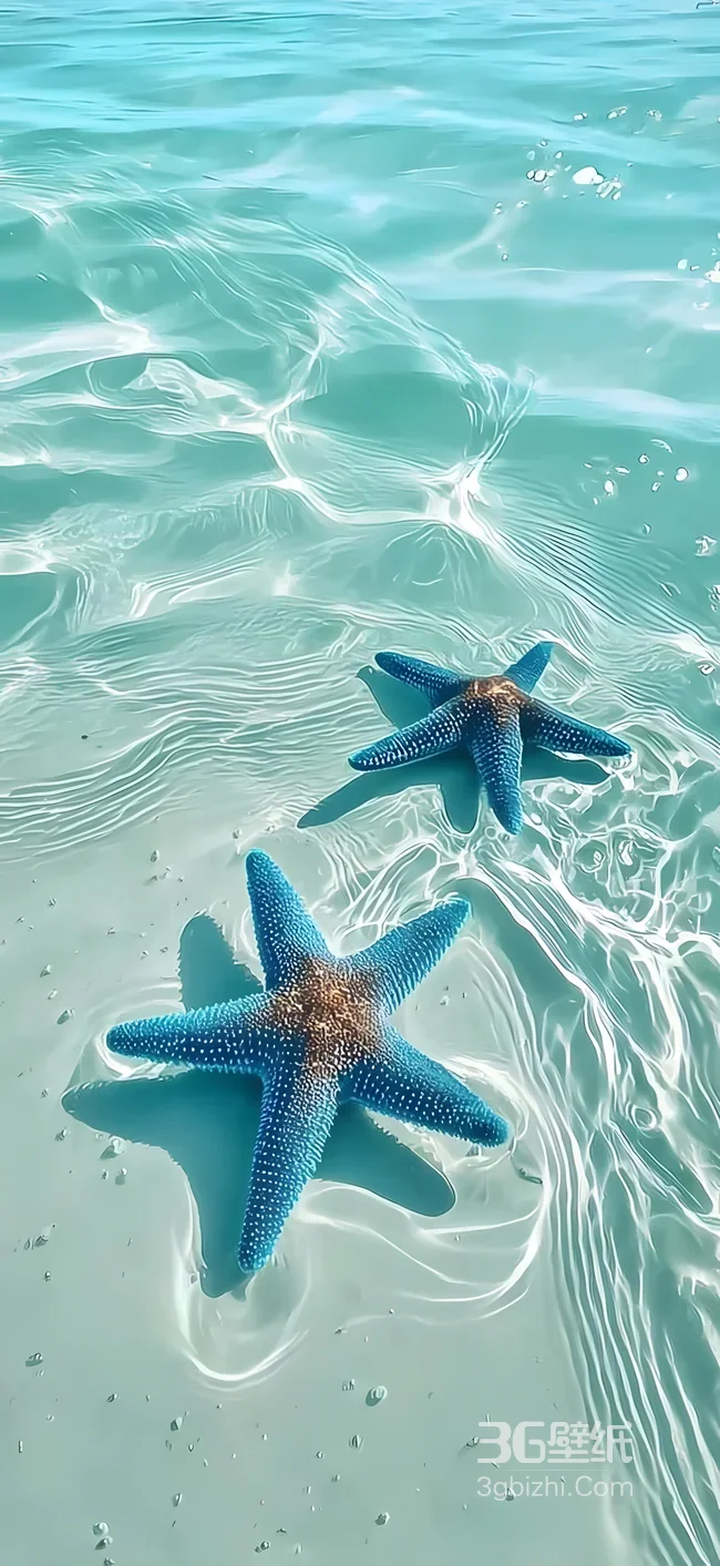 蓝色海星浅滩海水·唯美治愈 海洋风手机壁纸1