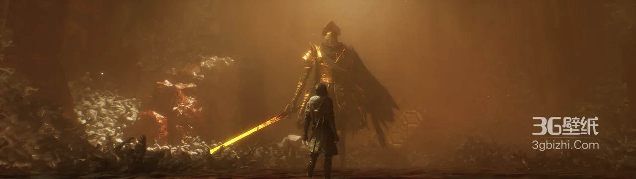 艾尔登法环 黄金铠甲战士对峙主角 暗黑写实宽屏游戏壁纸1