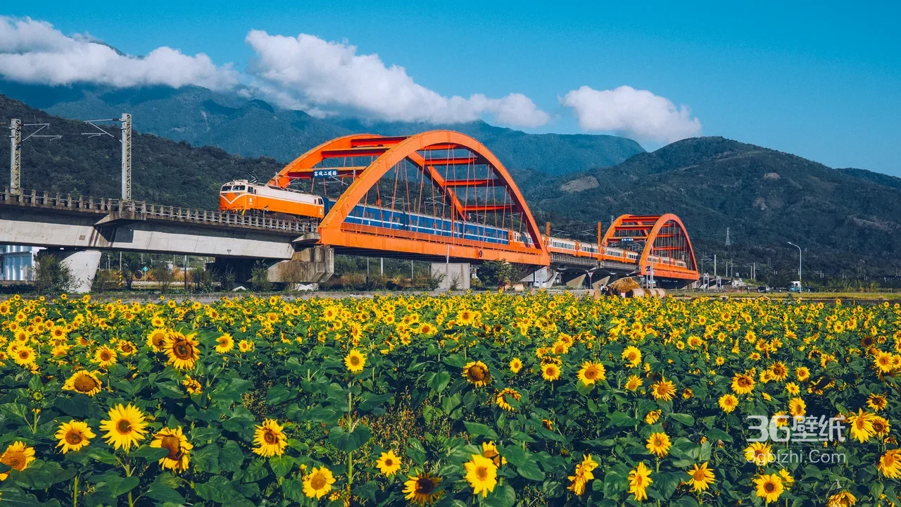 向日葵花田与橙色火车桥 唯美田园风景壁纸1