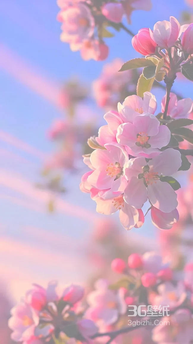 春日花簇·唯美梦幻粉色花瓣手机壁纸（清新治愈系）1