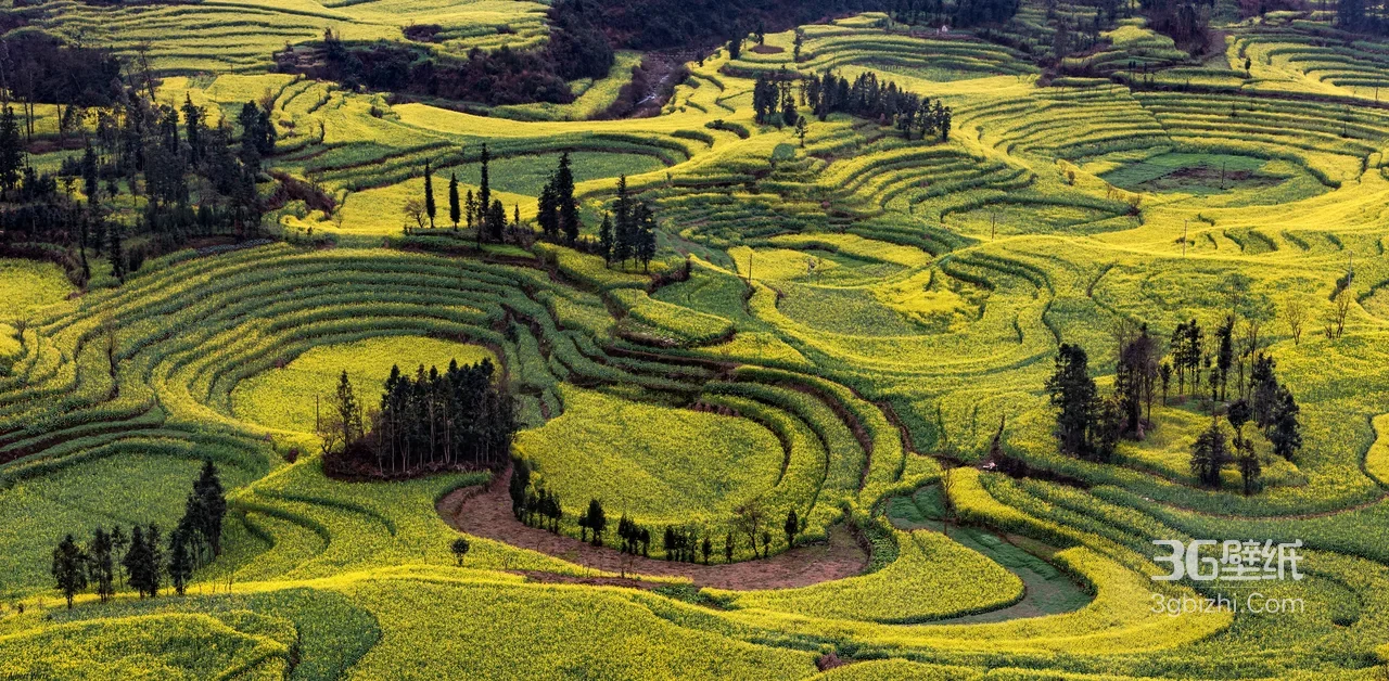 罗平油菜梯田·唯美田园风 宽屏田园风光电脑壁纸1