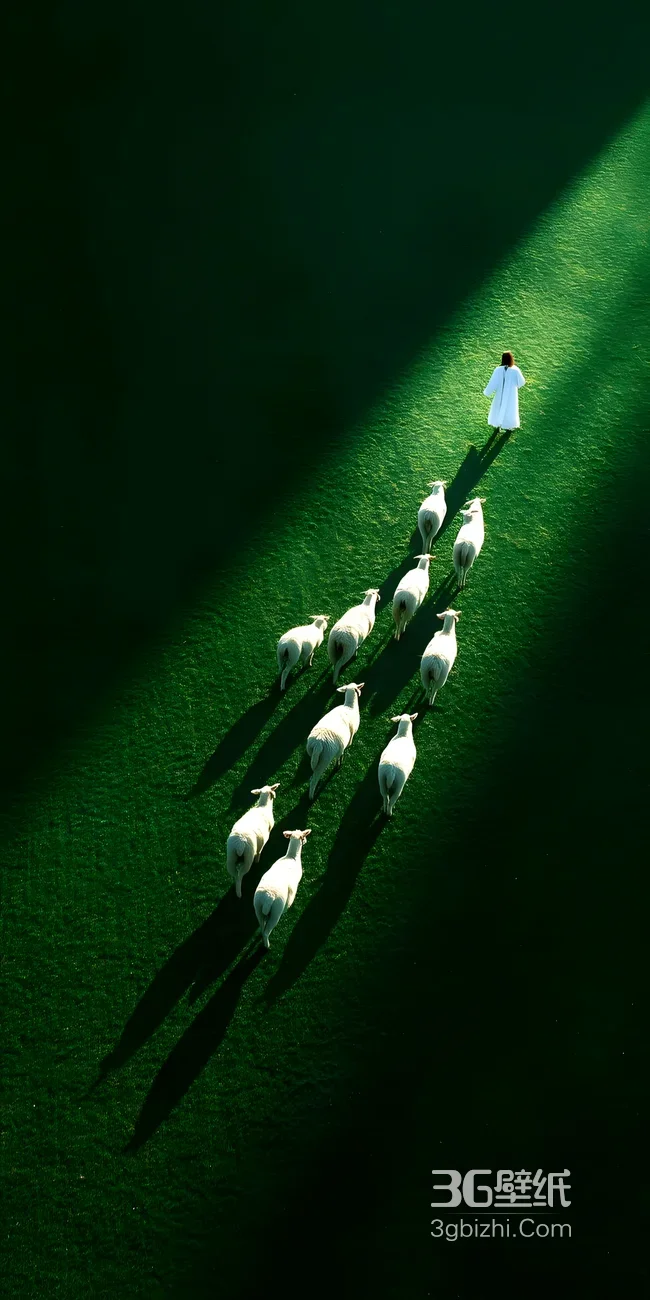 牧羊人·羊群随行·绿草地光影 治愈系牧羊壁纸1