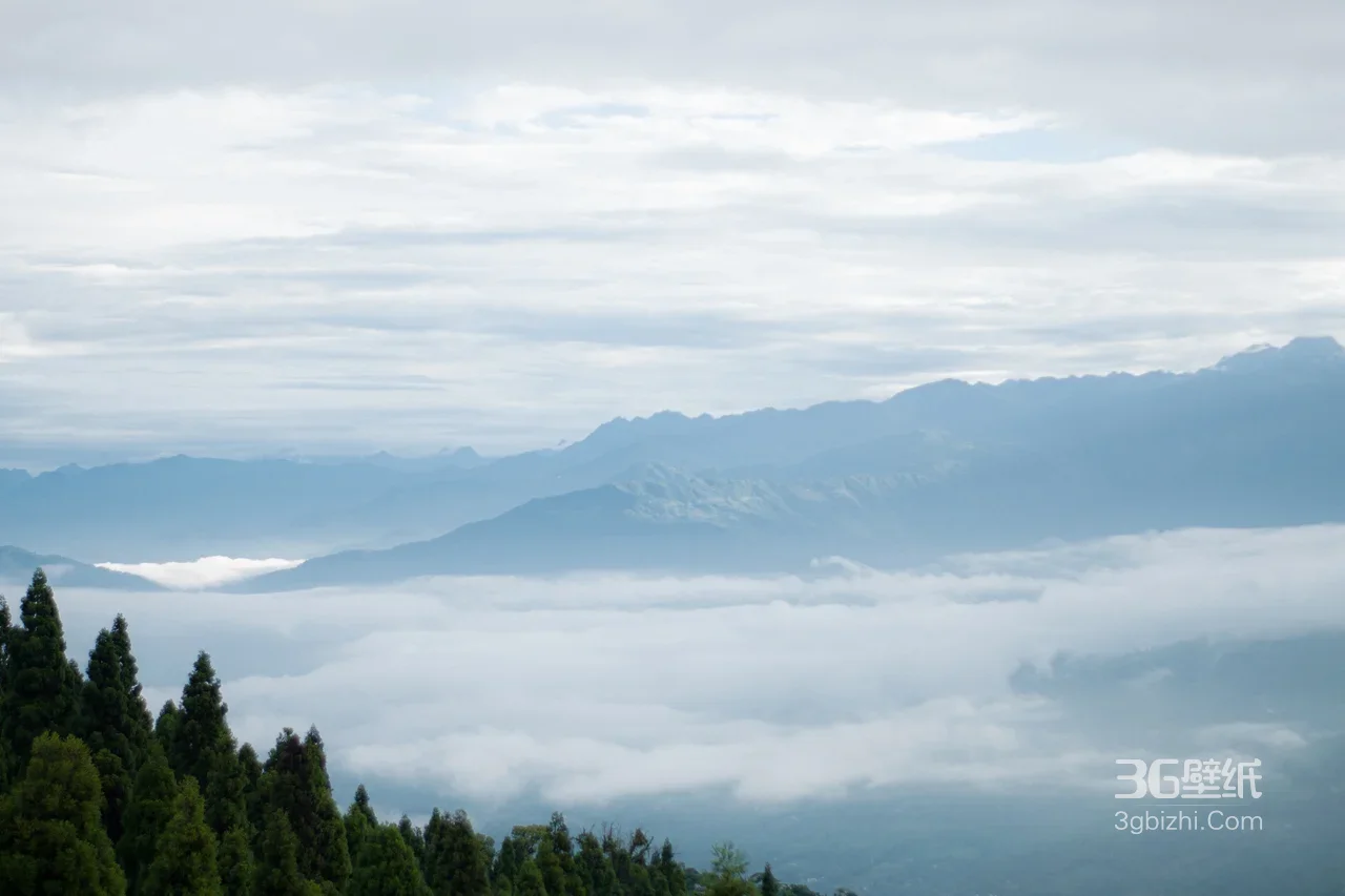 云海山峦松林·唯美自然风电脑壁纸（高人气风景类）1