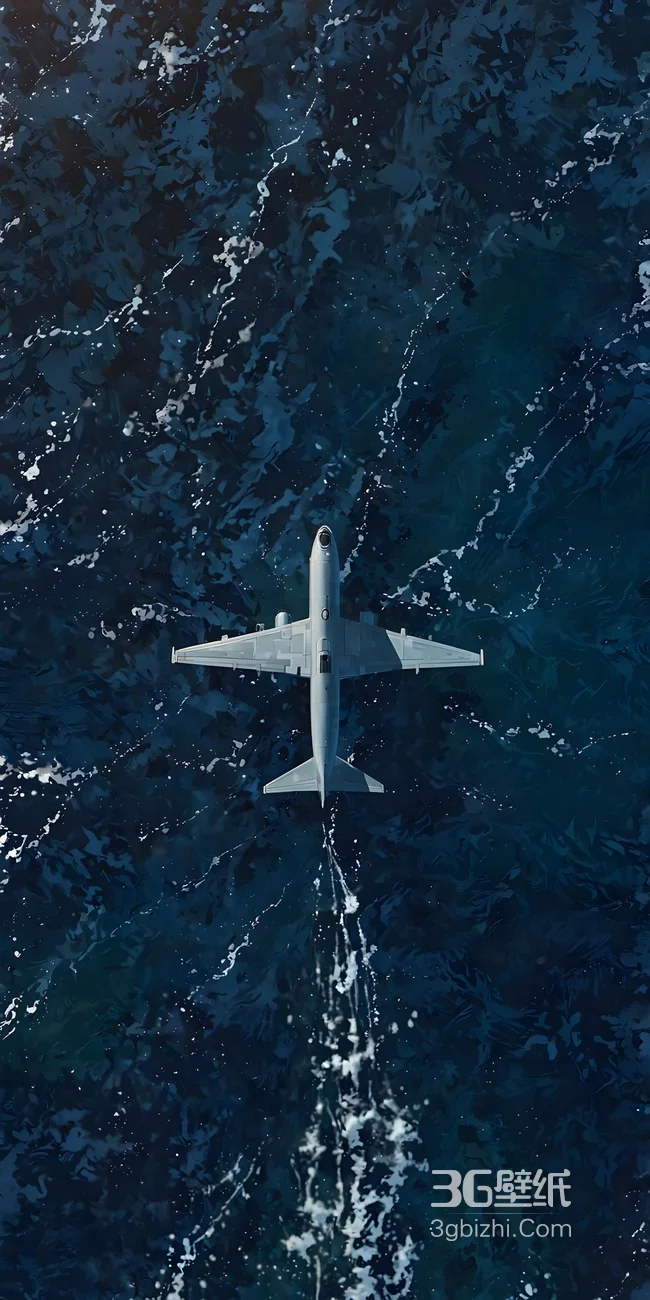 飞机海面巡航·写实风 高质感手机壁纸1