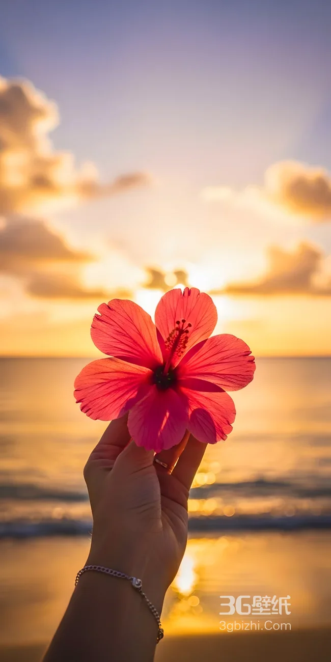 手捧朱瑾花·海边日落唯美治愈 热门浪漫花卉壁纸1