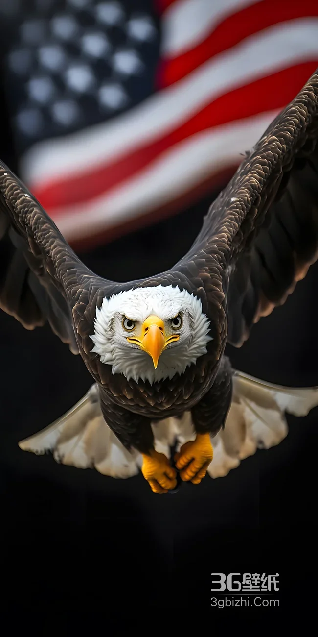 美国白头鹰·展翅翱翔 写实风 霸气鸟类壁纸1