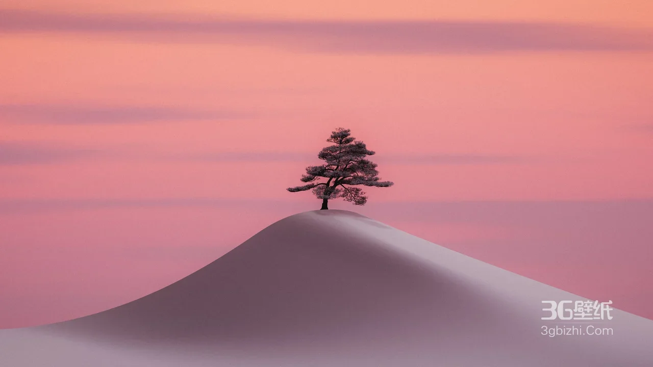 雪丘孤松·唯美粉紫天空 意境电脑壁纸精选1