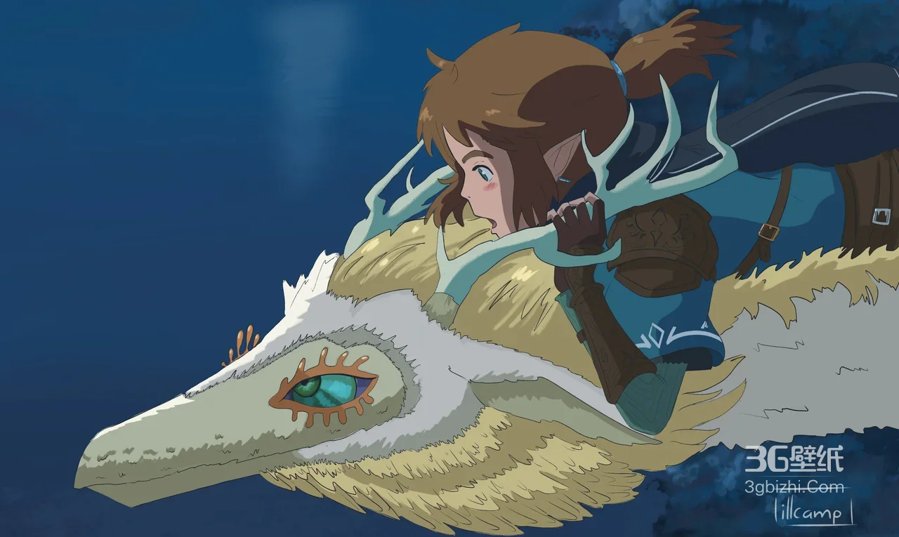 林克·骑乘光龙 二次元唯美 塞尔达传说高清壁纸1