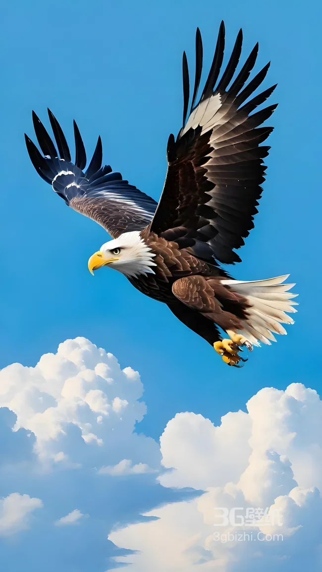 白头海雕·展翅翱翔 写实风 蓝天云海鹰类壁纸1