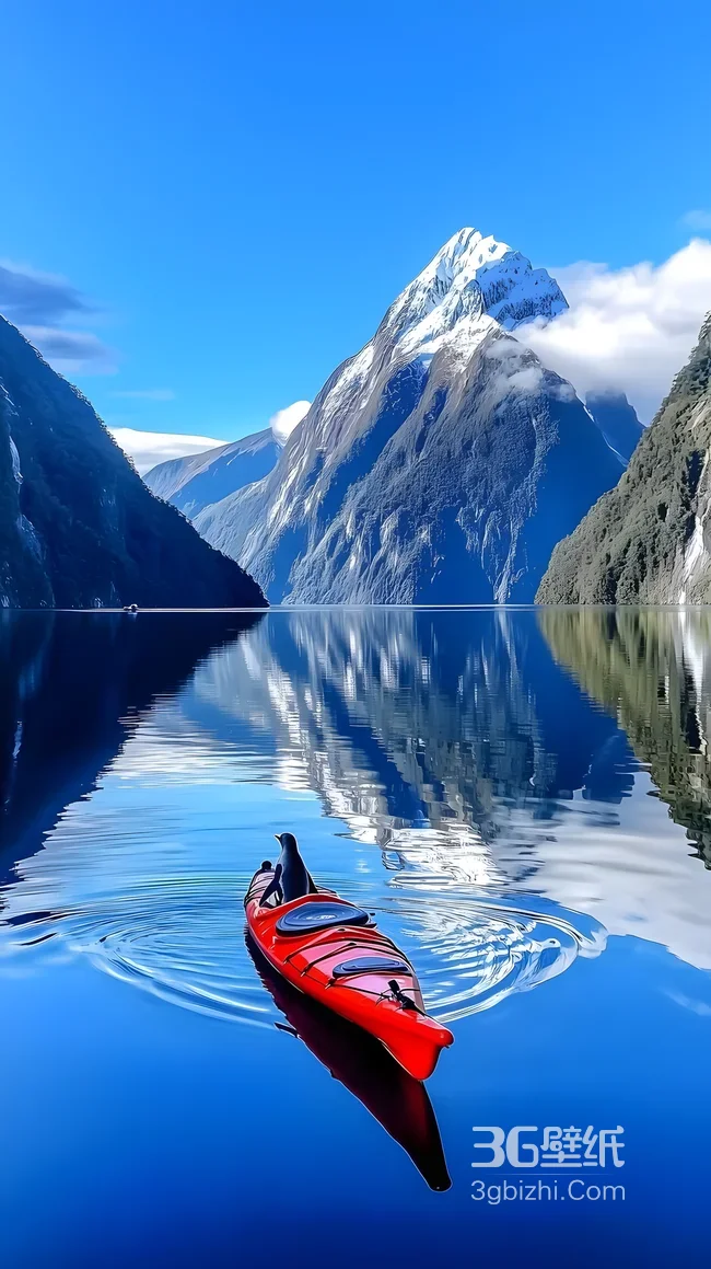 米尔福德峡湾·皮划艇企鹅·唯美写实 治愈系山水手机壁纸1