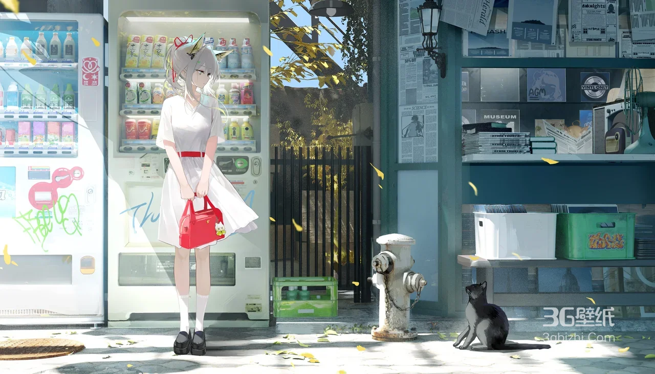 二次元清新风 街角售货机少女与黑猫 电脑壁纸1