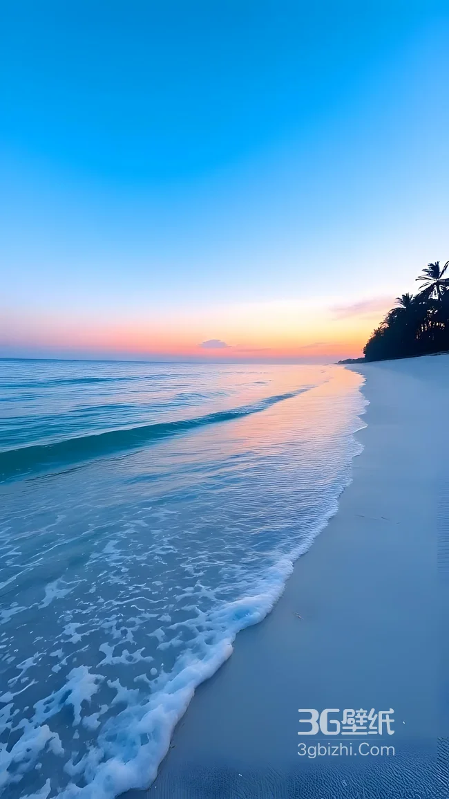 海滩日落·唯美治愈·椰林海景 高赞海滨风光壁纸1