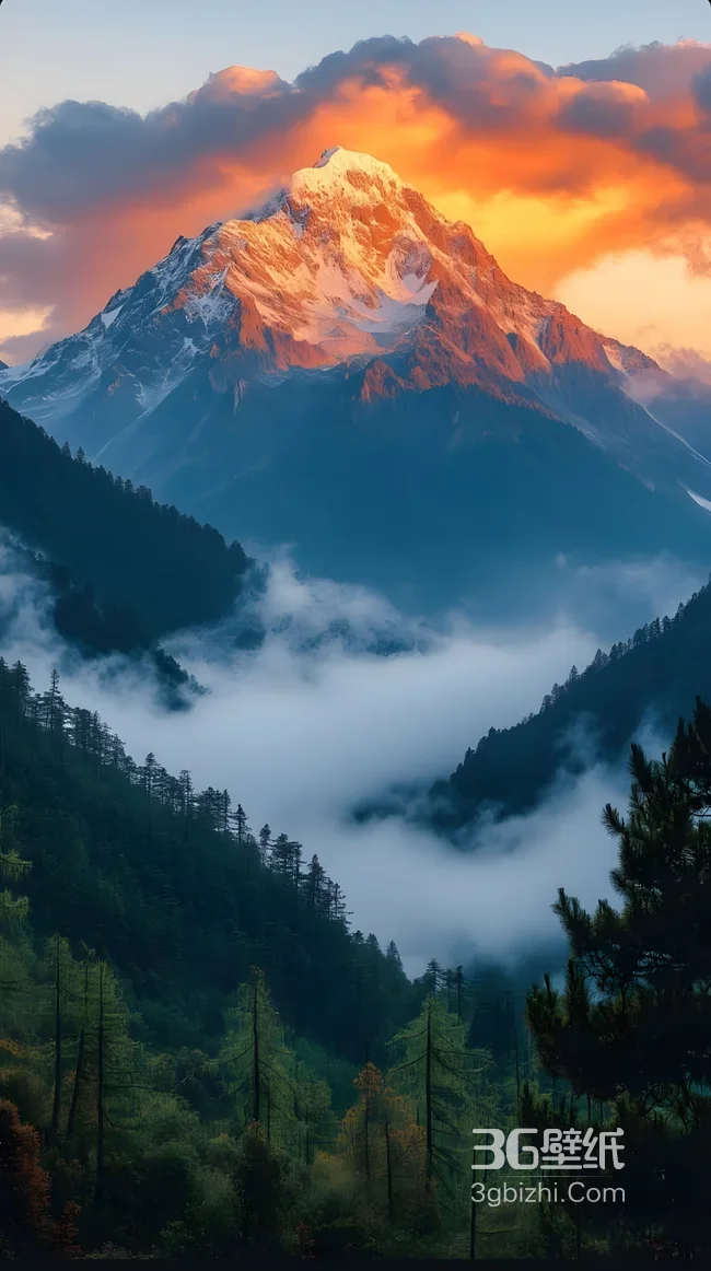 唯美写实雪山云海森林日出 治愈系自然风景手机壁纸1