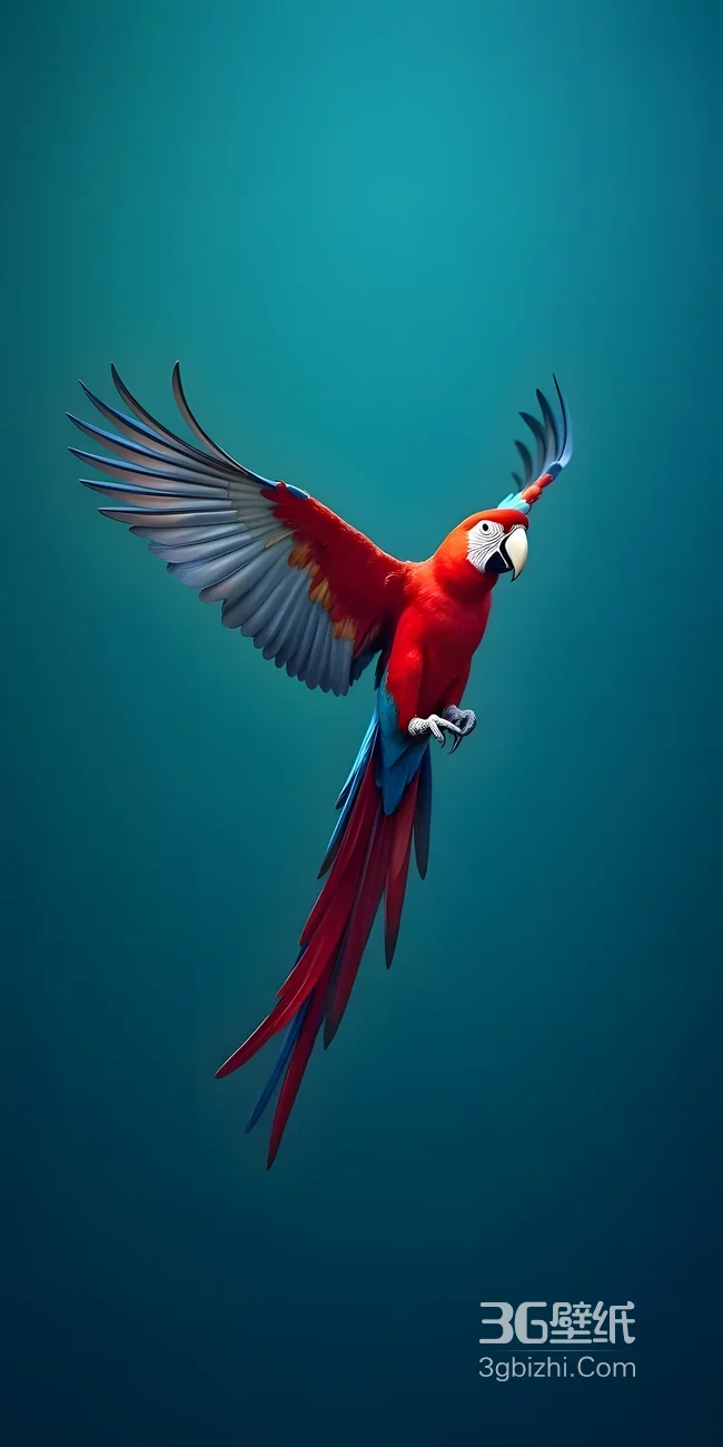 绯红金刚鹦鹉·写实唯美风 灵动展翅高人气手机壁纸1