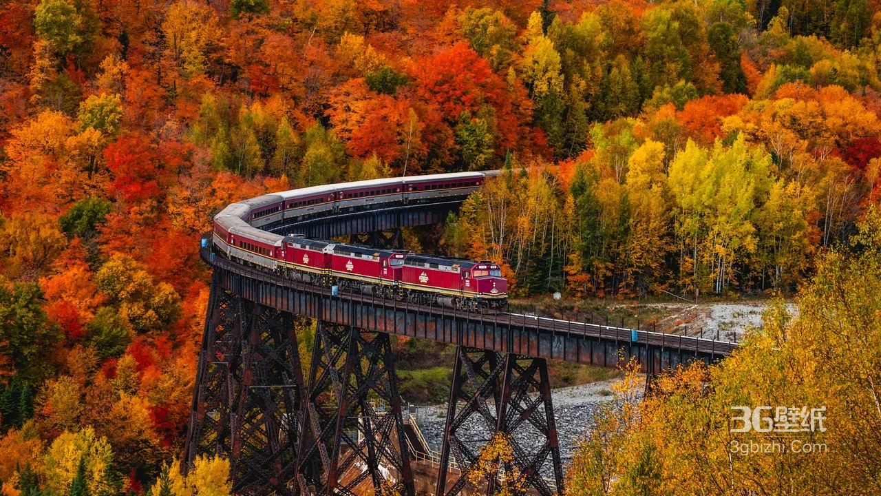 火车铁桥·秋林斑斓 唯美铁路风景（宽屏车机壁纸）1
