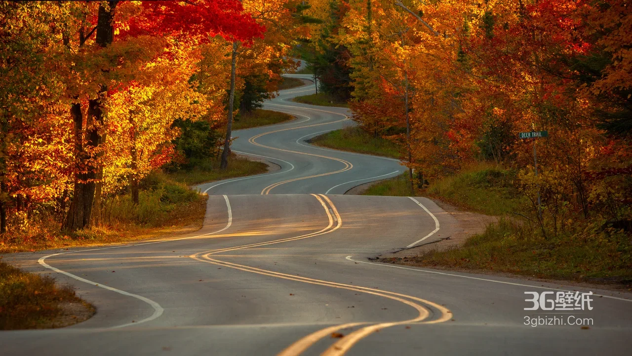 秋日森林蜿蜒公路·唯美写实风 秋日公路风景电脑壁纸1