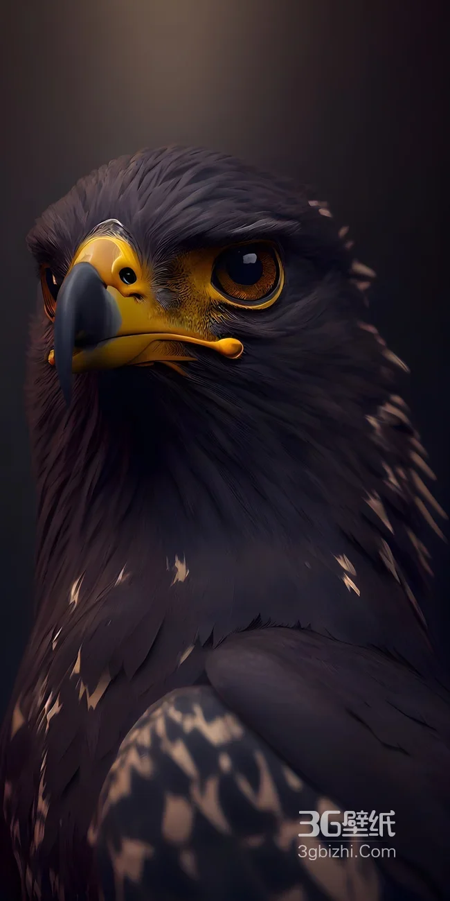 黑羽猛禽鹰·写实暗黑风 霸气冷峻手机壁纸精选1