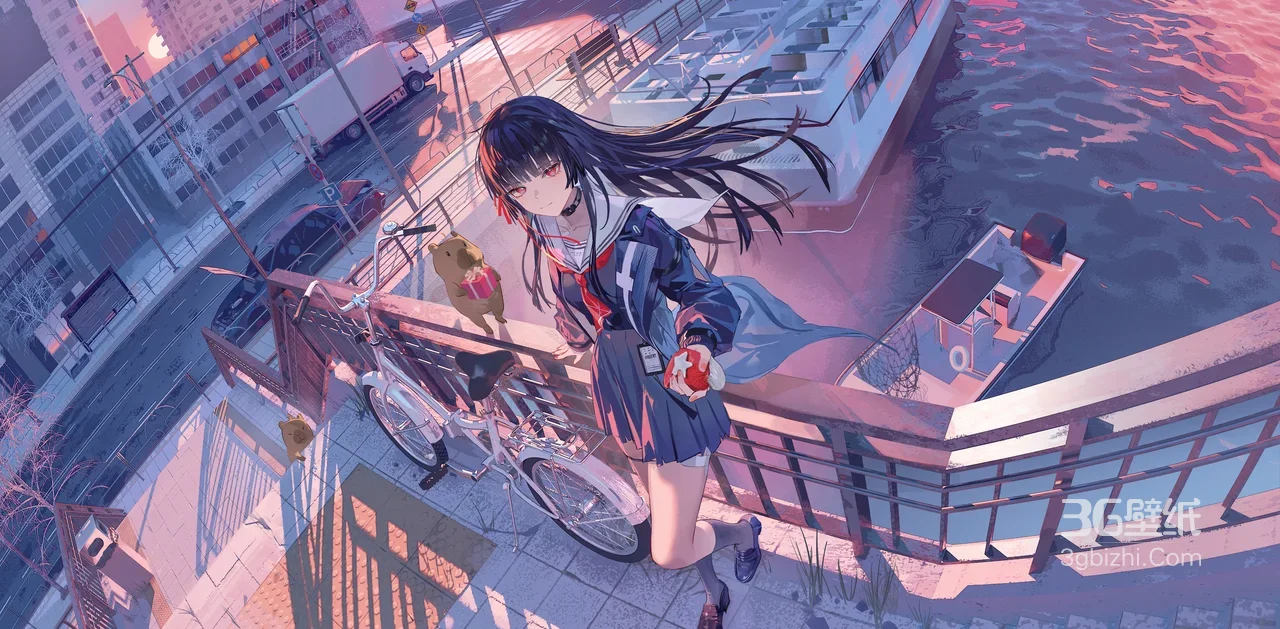 二次元黑发水手服少女·码头黄昏 宠物自行车 宽屏壁纸1