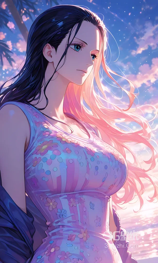 妮可·罗宾·渐变长发 唯美动漫《海贼王》手机壁纸1